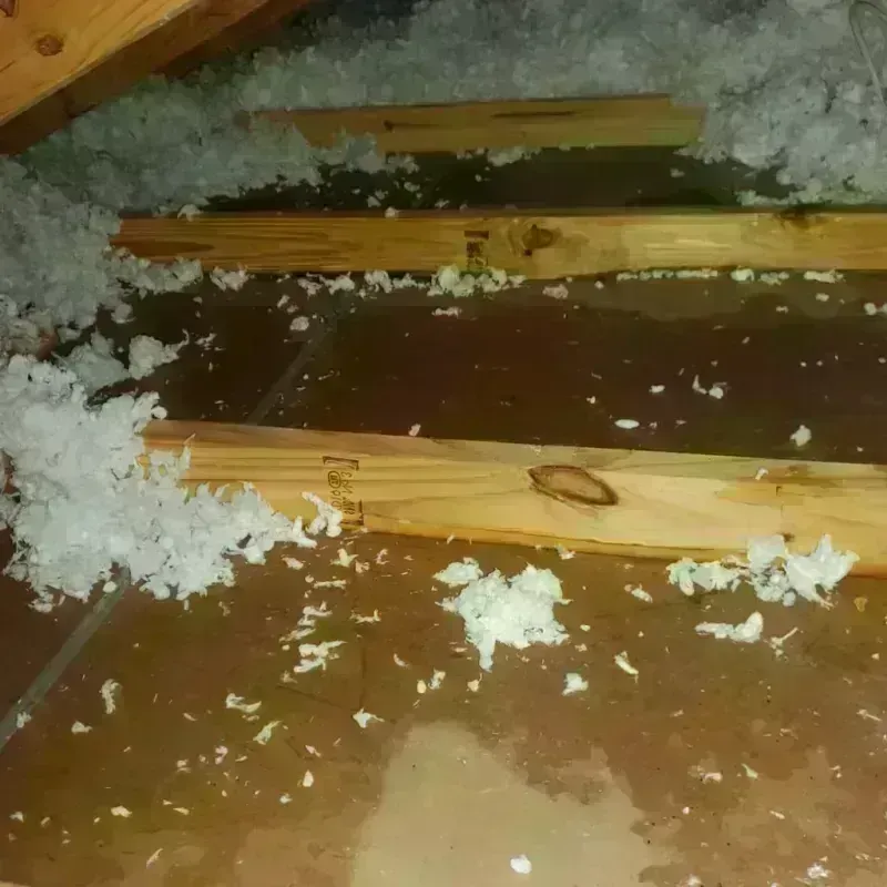 Attic Water Damage in Refugio, TX